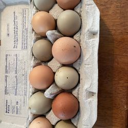 Fresh Eggs 