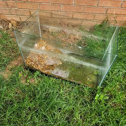 Fish tank