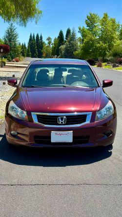 2010 Honda Accord