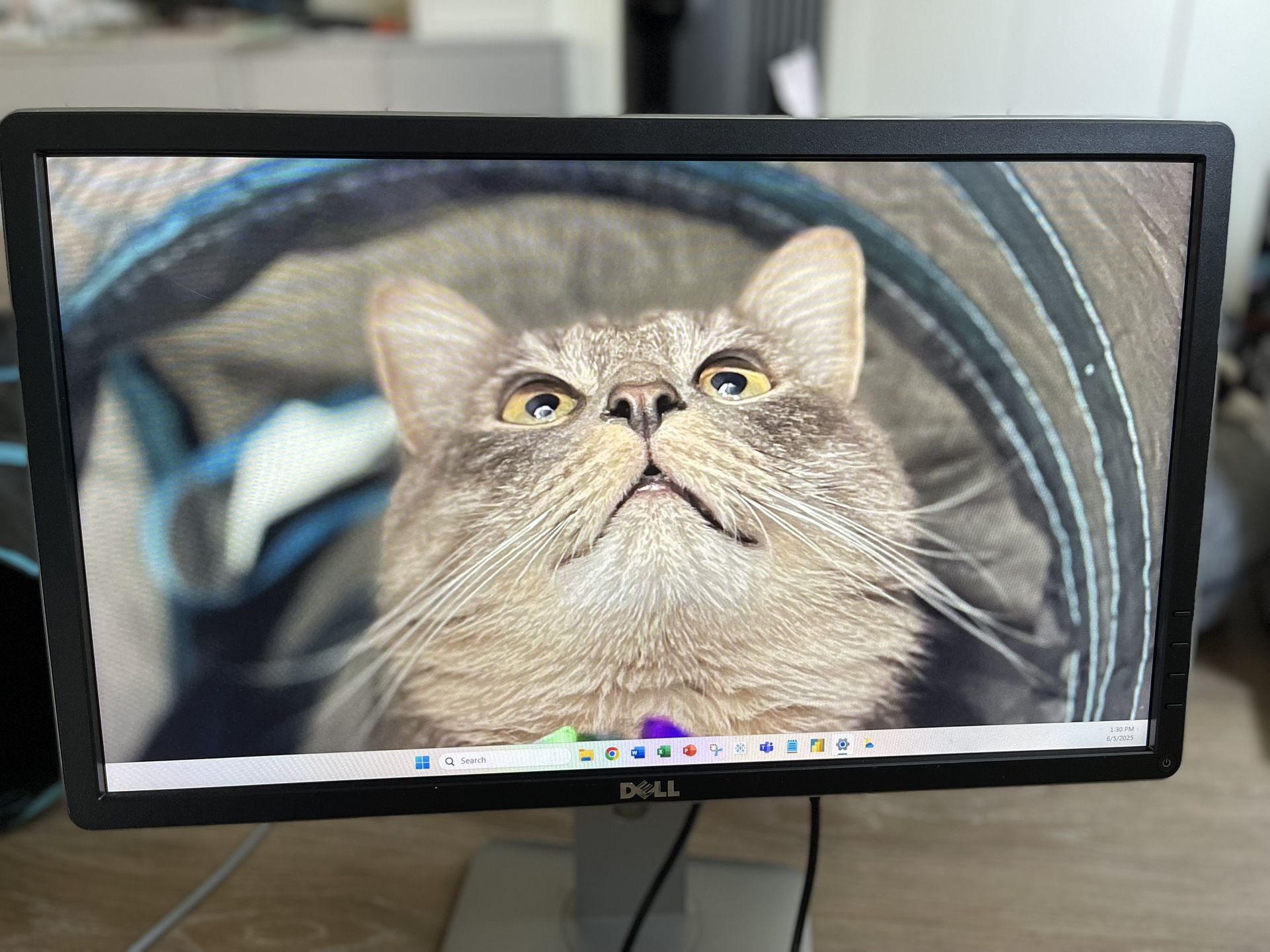 21” Dell Monitor - P2214HB (2015)
