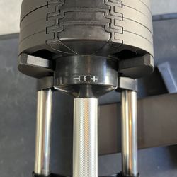 Adjustable Dumbbells 50lb & Stand