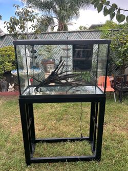 29 gallon fish tank setup/ 29 gallon fish tank with stand