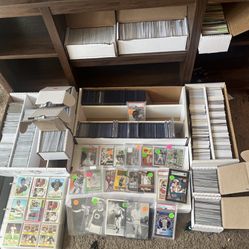 Massive Sports Card Collection 