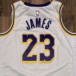 New Men’s Size large LeBron James Nike LA Lakers Jersey 