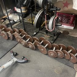 Professional Dumbells