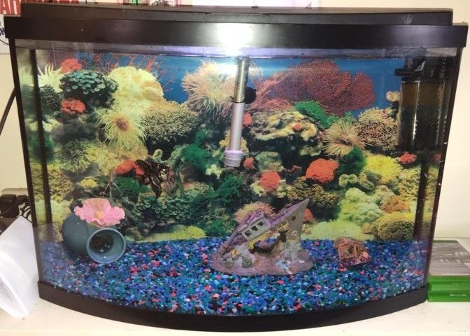 Fish Tank For Sale