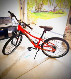 Giant XTC Jr  20” Kids Bike