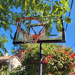 Basketball Hoop And Backboard