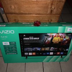 43 Inch Vizio 