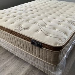 Queen Organic Cloud Edition Europillow Top 12inch Matres!