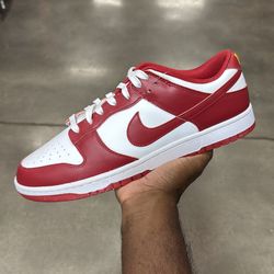 Brand new Nike Dunk low St Johns sz15