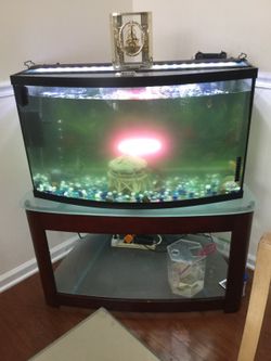 Fish tank