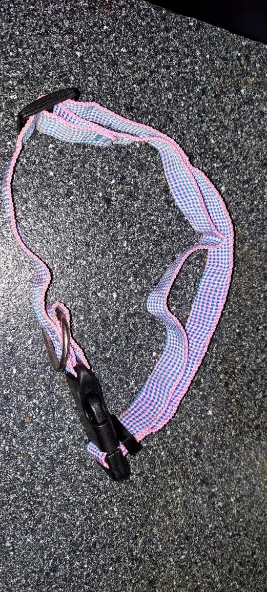 Collar