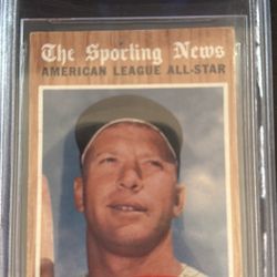 Baseball Sport Cards Collection