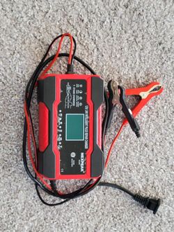 Nexpeak Battery Repair Charger 11/24 volt