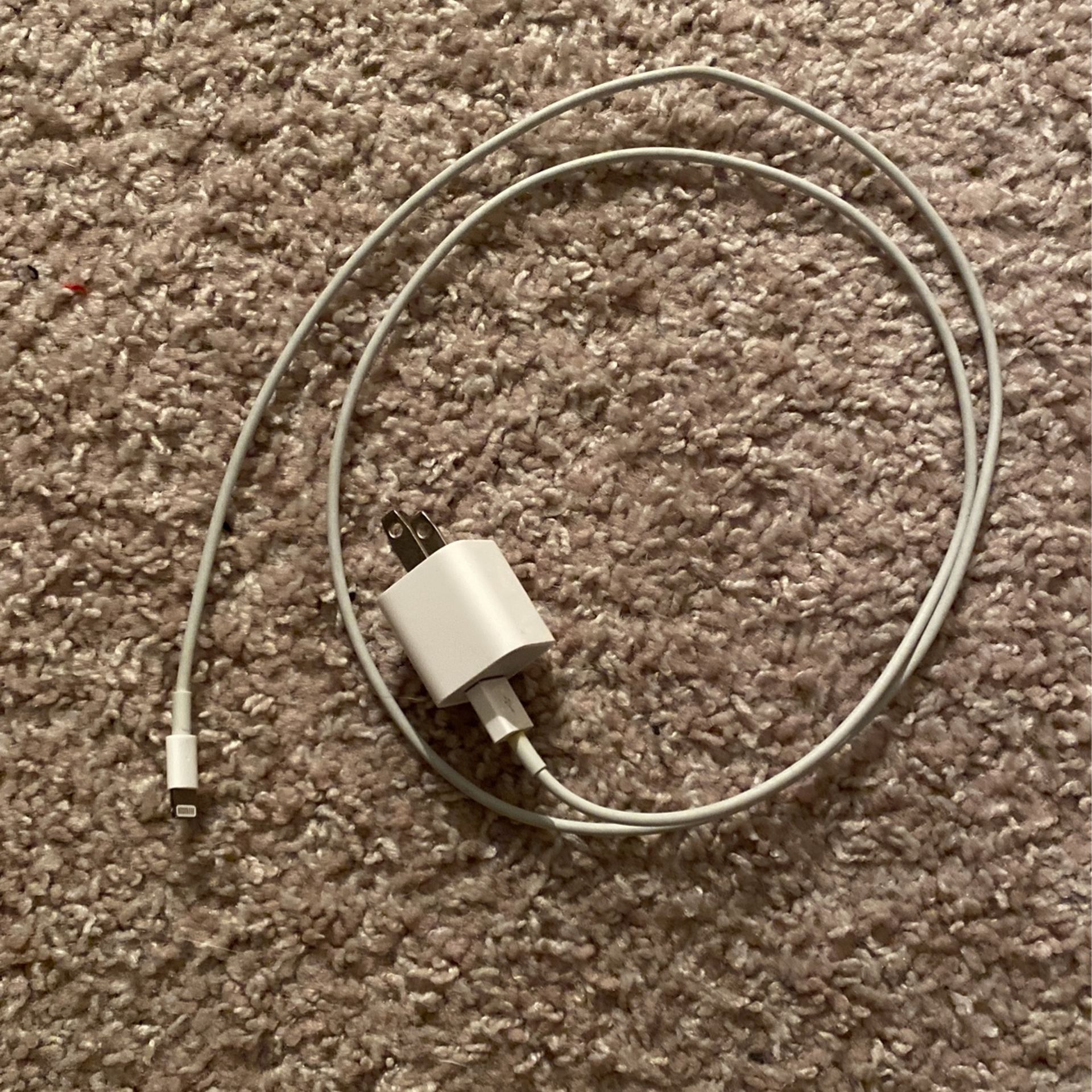 iPhone Charger