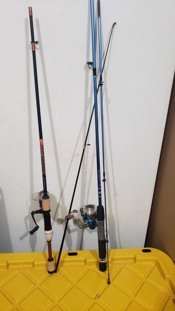 Fishing pole