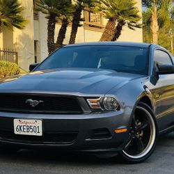 2010 Ford Mustang