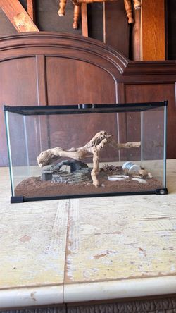 Terrarium 20”(L) x10” (w) x11.5”(h)