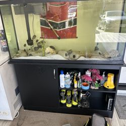 60 Gallon Fish Tank And Stand