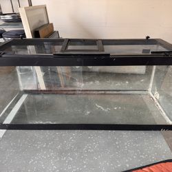 20 Gallon Aquarium With Cut Out For Filter