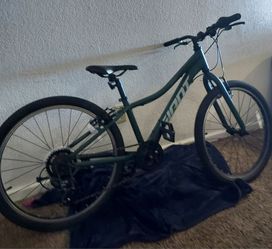 Giant jr bike