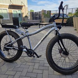 Pedego Trial Tracker Electric bike 29" tires