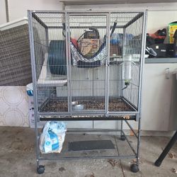 Chinchilla Gage 