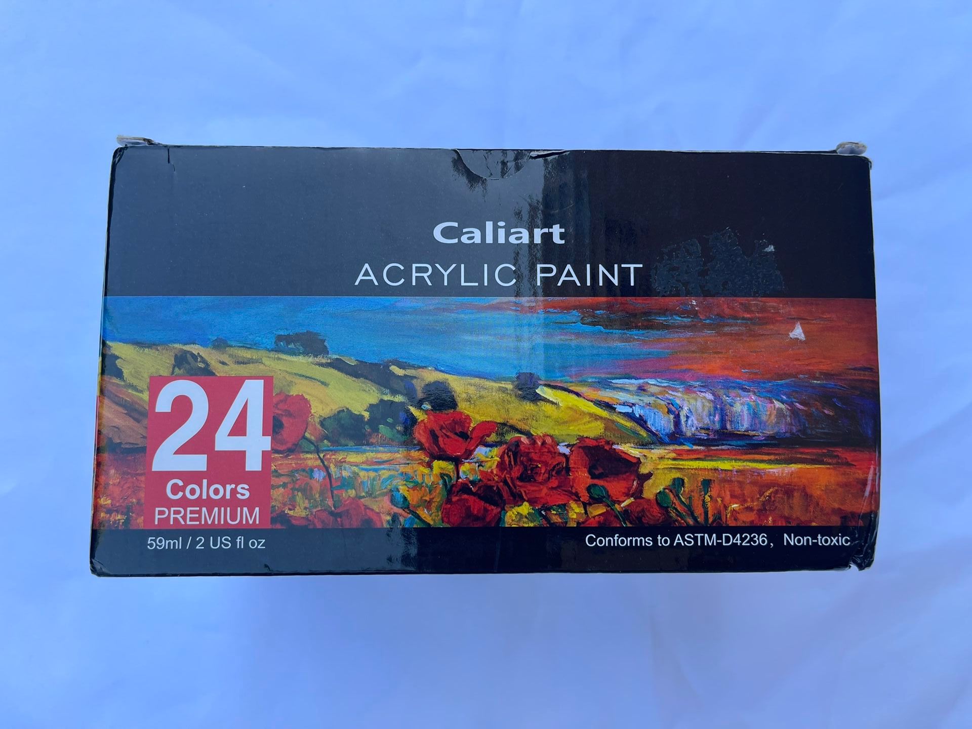 Acrylic paint set - Basically New!