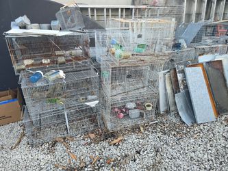Jaulas usadas , used cages