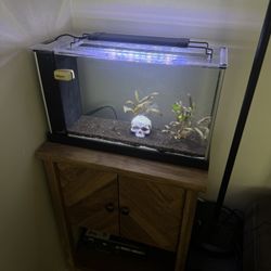 Fluval Spec v 5 Gallon