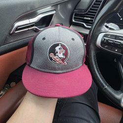Nike FSU Hat