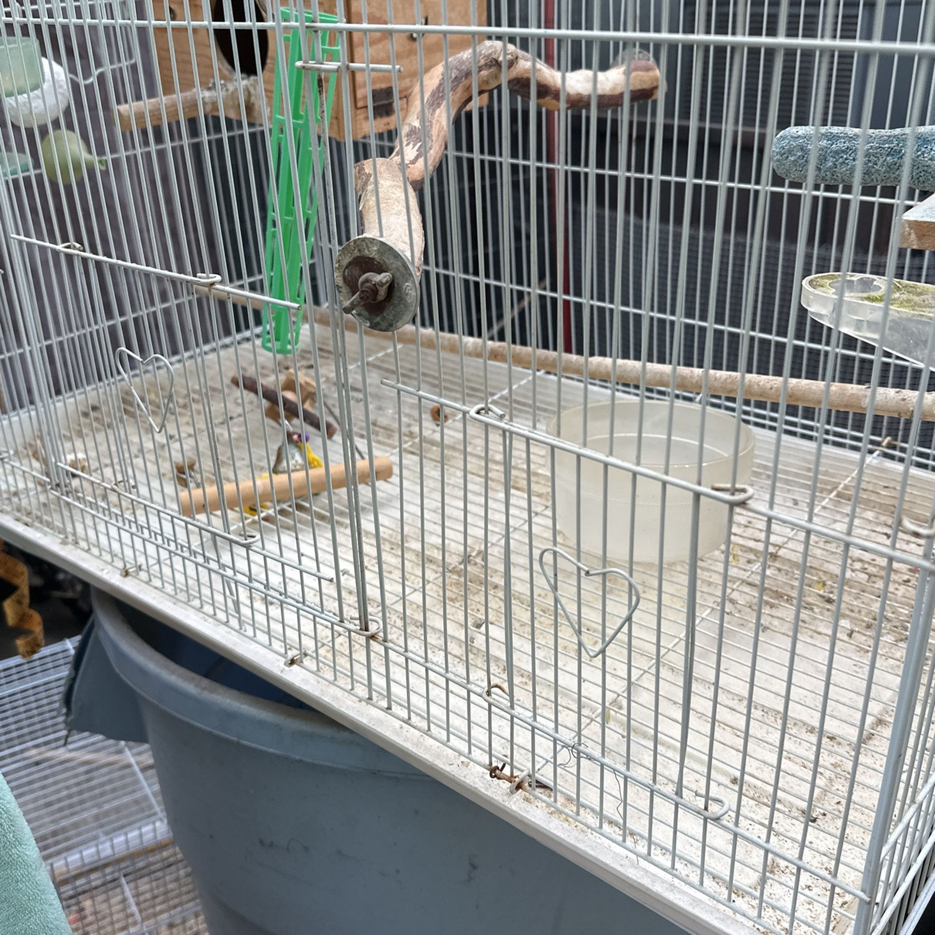 Bird Cage