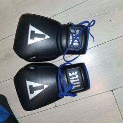 Lace Up Title Boxing Gloves 