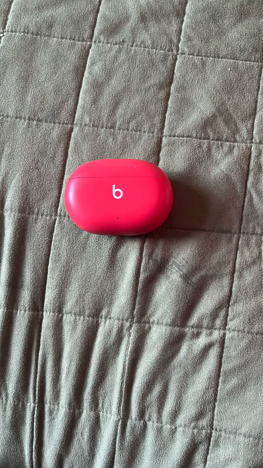 Beats Studio Earbuds Worn