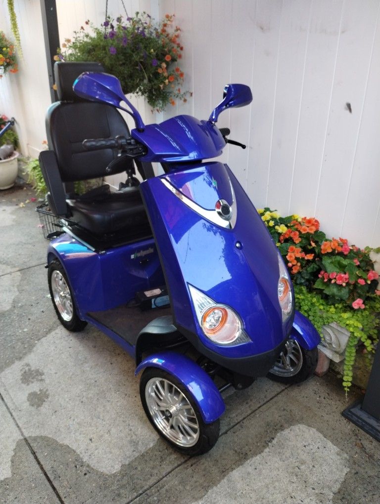 E Wheelz Electric Scooter