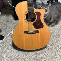 Walden Guitar