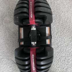Bowflex SelectTech 552