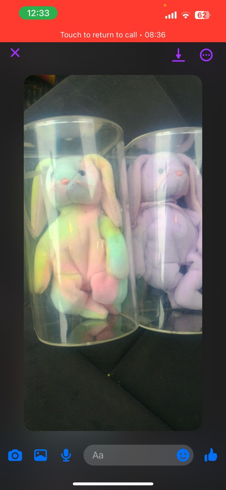 Floppity & Hippie Beanie Babies
