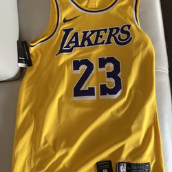 LEBRON JAMES LAKERS JERSEY