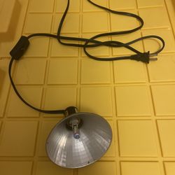 UV Lights For Reptiles 