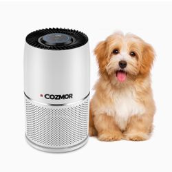 G220 Air Purifier 