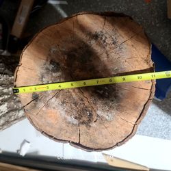 Wood crafter delight, or firewood