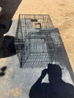 Metal-Wire-Dog-KennelDogs