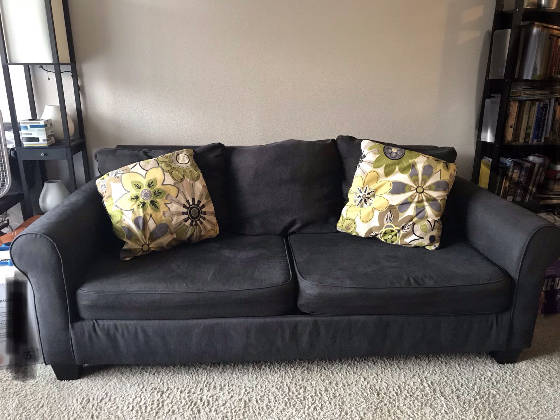 Charcoal Gray Sofa Sleeper