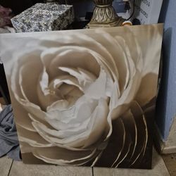 Soft Edges" photographic print on canvas by Jennifer Broussard. 