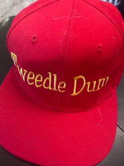 Men/Women Novelty Hat like new