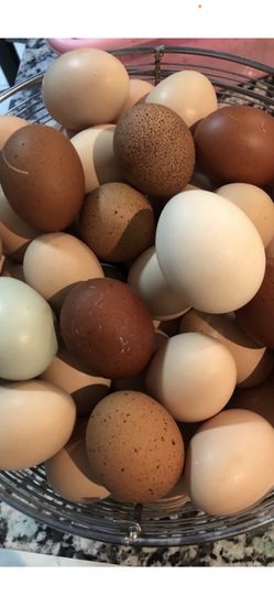 Fresh Farm Eggs