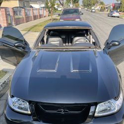 Auto Glass