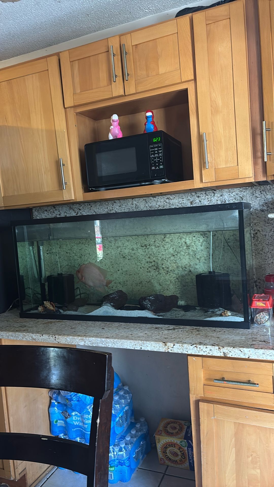 Fish Tank 55 gallon tank